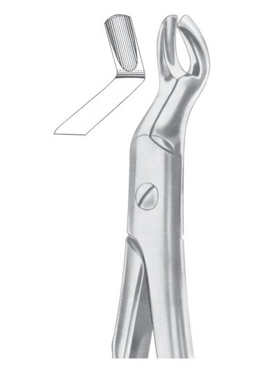 Fig. 65L upper molars left