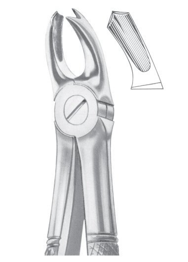 Fig. 65R upper molars right