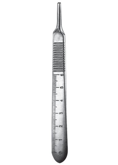 Fig3G